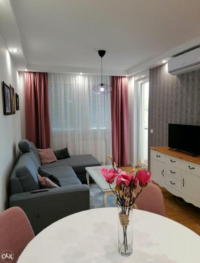 Apartman 'Strahinja'